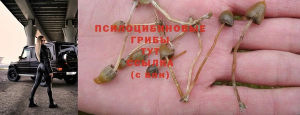 стаф Переславль-Залесский