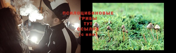 винт Осташков
