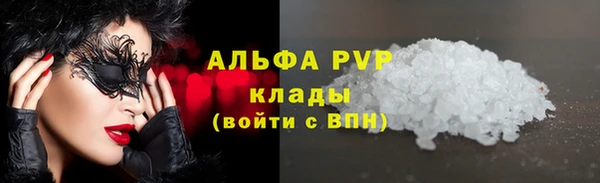 винт Осташков