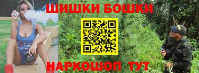 шишки Бийск