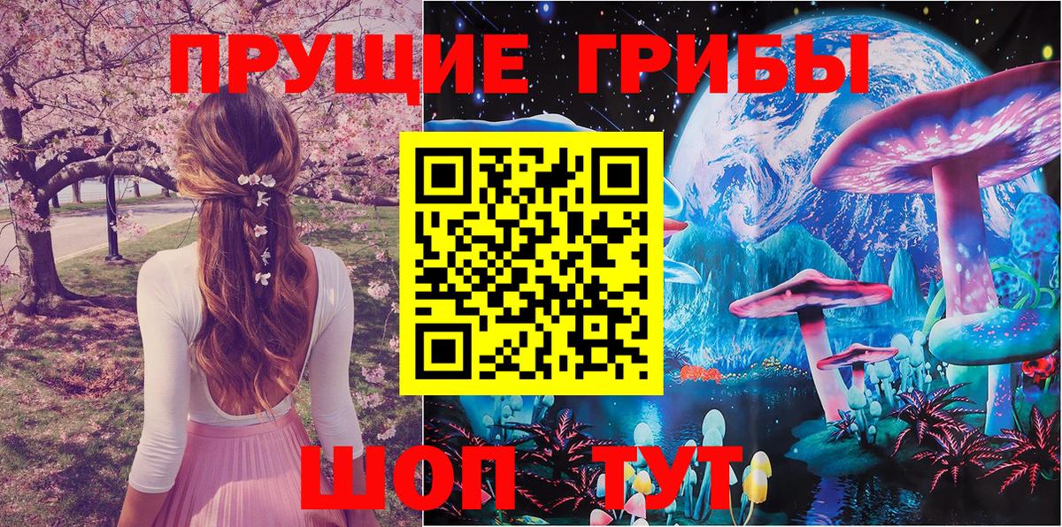 Кореновск  Галлюциногенные грибы ЛСД  Псилоцибиновые грибы ЛСД  Вход с VPN 