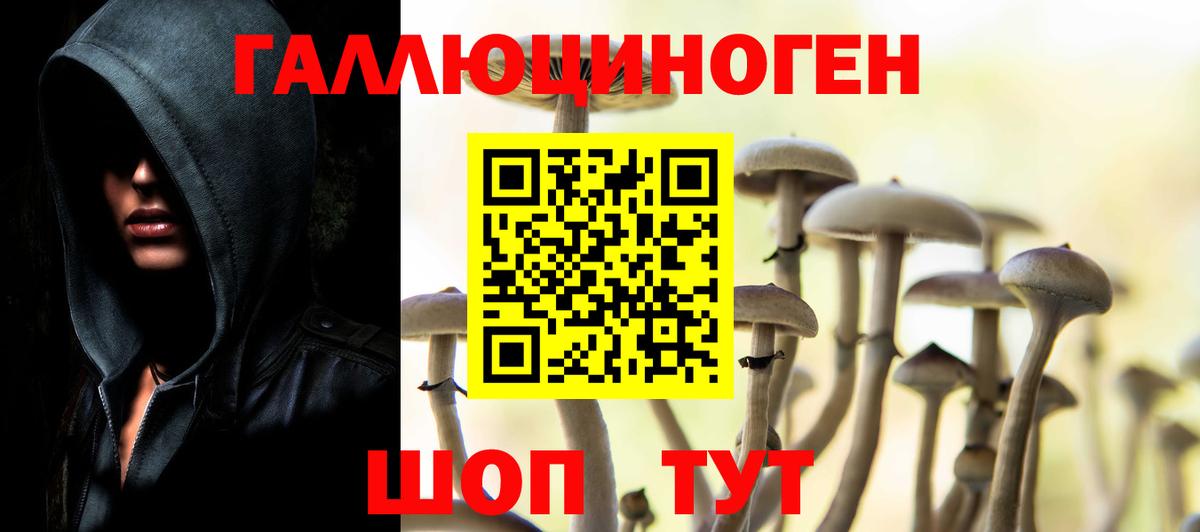 Галлюциногенные грибы GOLDEN TEACHER Кореновск