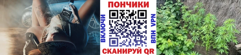 darknet как зайти  купить закладку  Кореновск  Каннабис гибрид 